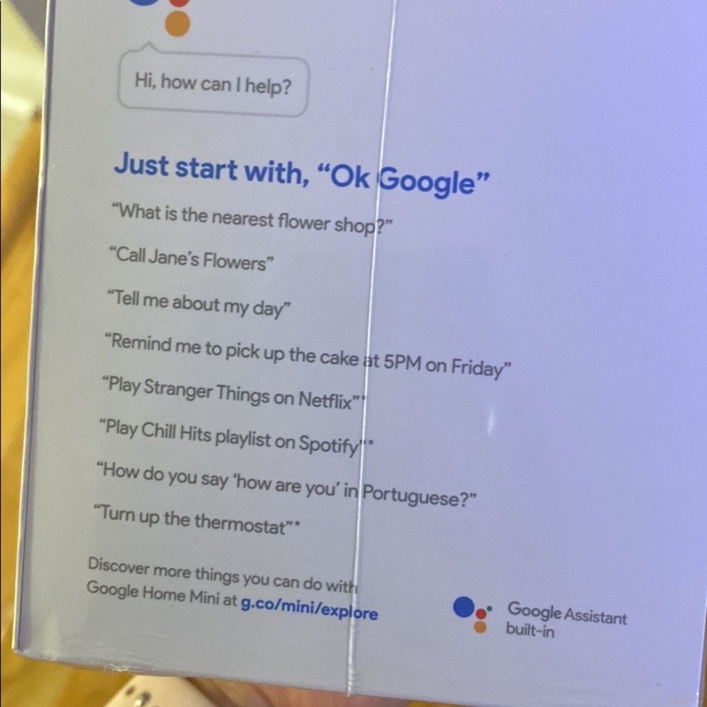 Google home mini